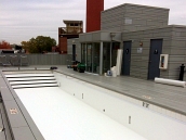 Commercial Vinyl Replacement